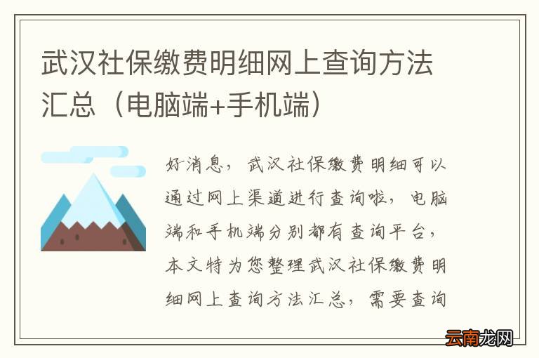 电脑端+手机端 武汉社保缴费明细网上查询方法汇总