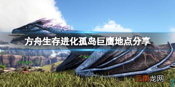 方舟生存进化孤岛巨鹰在哪里抓 孤岛巨鹰地点分享