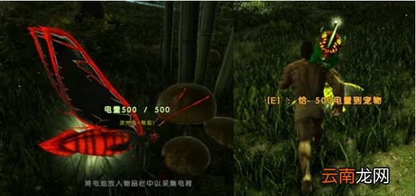 方舟生存进化畸变怪物有哪些 畸变怪物发光虫介绍