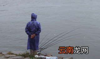 鱼咬石头使用方法 硫代甜菜碱诱鱼剂如何使用