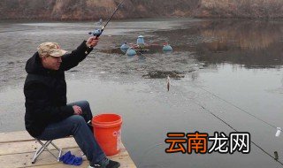水库钓鱼用什么饵料 在水库钓鱼用什么鱼饵好钓