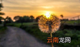 描写心境淡然唯美句子 描写心境淡然的唯美句子有哪些