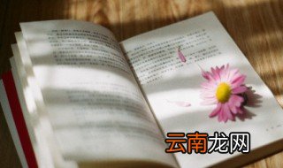 人物描写句子 描写人物的句子
