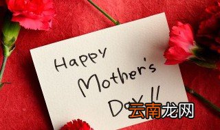 母亲节献康乃馨的诗歌 母亲节的诗歌两首