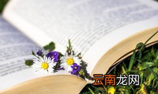 成语入木三分常比喻分析问题很深刻它最初是用来形容 成语入木三分的解释