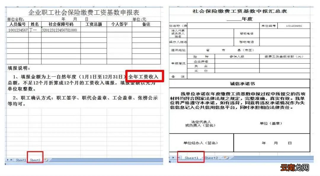 南京社保基数申报模板是什么