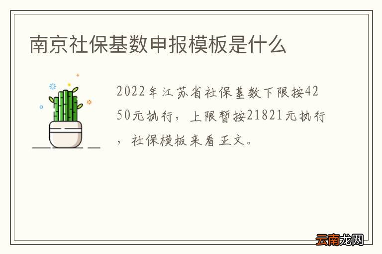 南京社保基数申报模板是什么