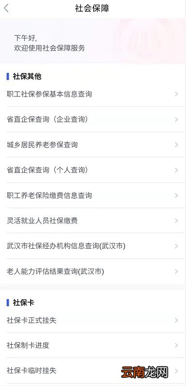 附流程图解 鄂汇办怎么查询社保缴费记录和明细