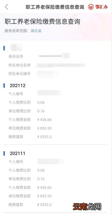 附流程图解 鄂汇办怎么查询社保缴费记录和明细