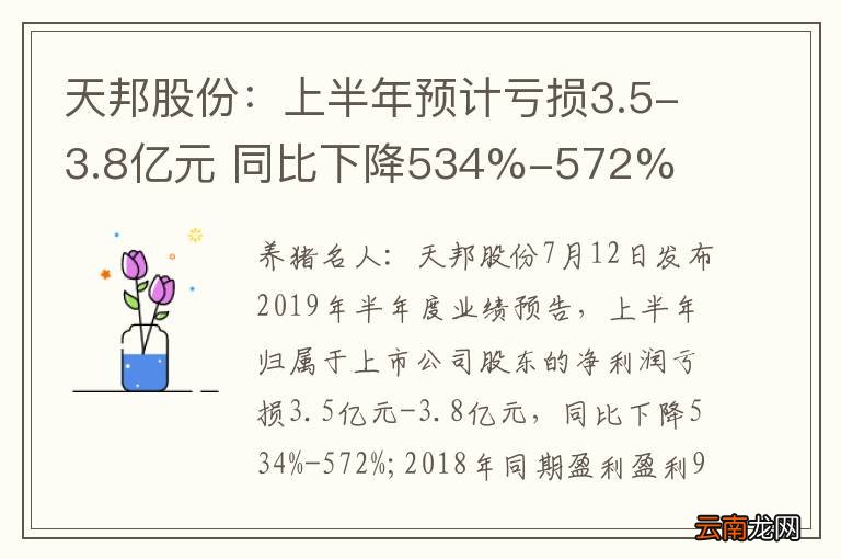 天邦股份：上半年预计亏损3.5-3.8亿元 同比下降534%-572%