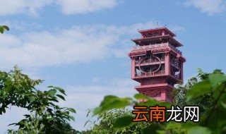 达州市花是什么 总面积多少