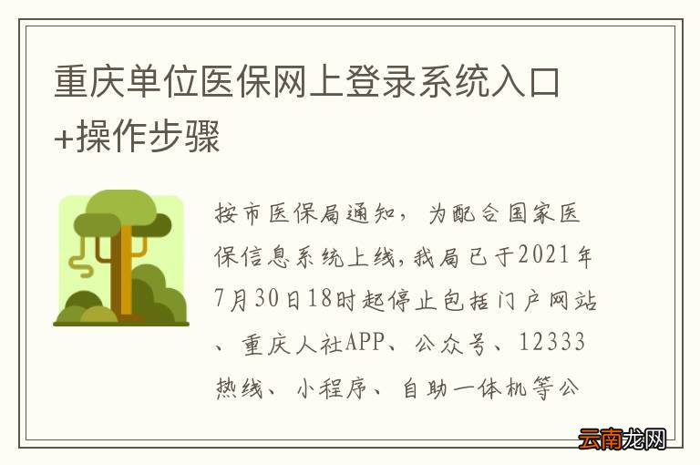 重庆单位医保网上登录系统入口+操作步骤