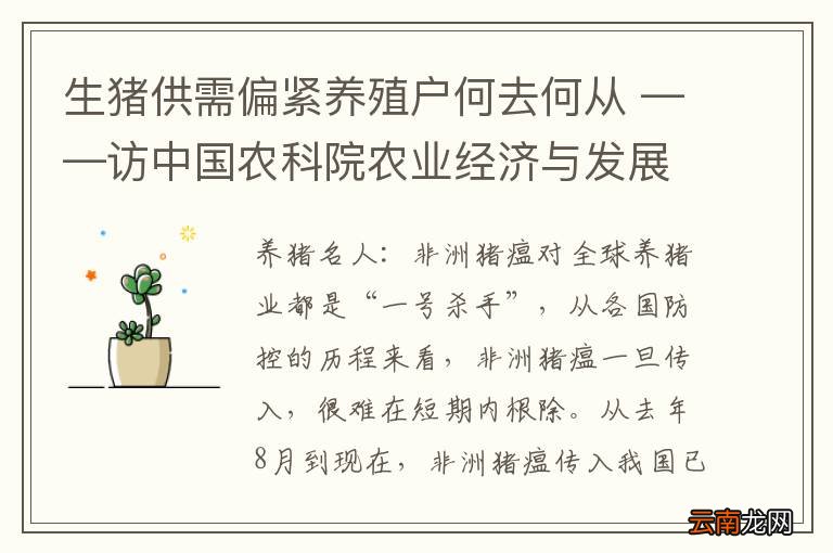 生猪供需偏紧养殖户何去何从 ——访中国农科院农业经济与发展研