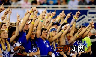 ncaa是干什么的 机构性质