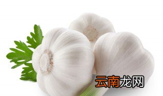 醋泡大蒜的禁忌 尤其是第二个要重视