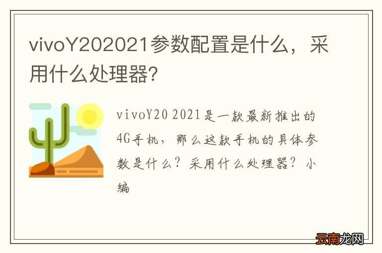 vivoY202021参数配置是什么，采用什么处理器？
