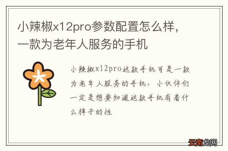 小辣椒x12pro参数配置怎么样，一款为老年人服务的手机