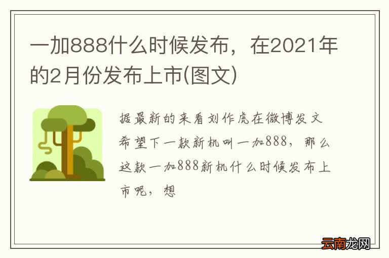 图文 一加888什么时候发布，在2021年的2月份发布上市