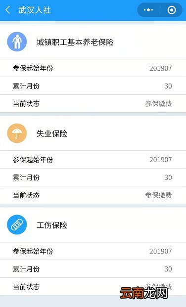 武汉人社小程序怎么查询社保参保缴费明细？
