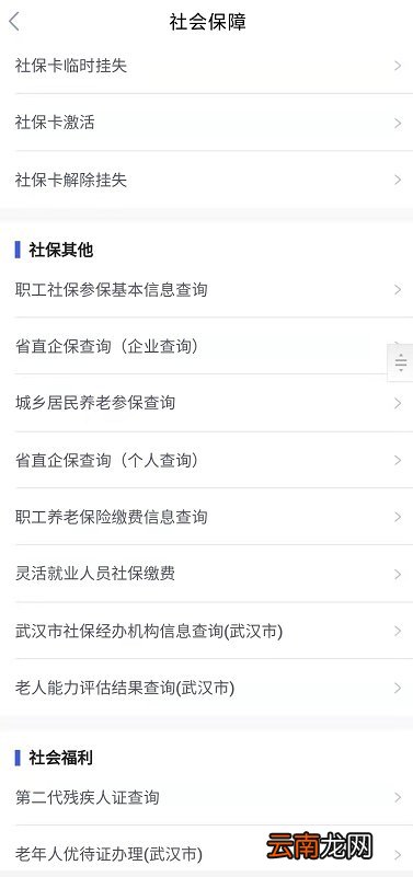 武汉社保缴费明细网上查询指南