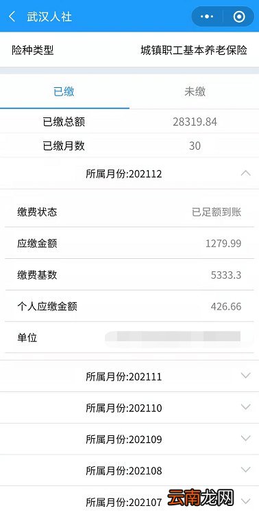 武汉社保缴费明细网上查询指南