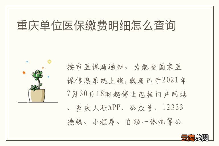 重庆单位医保缴费明细怎么查询