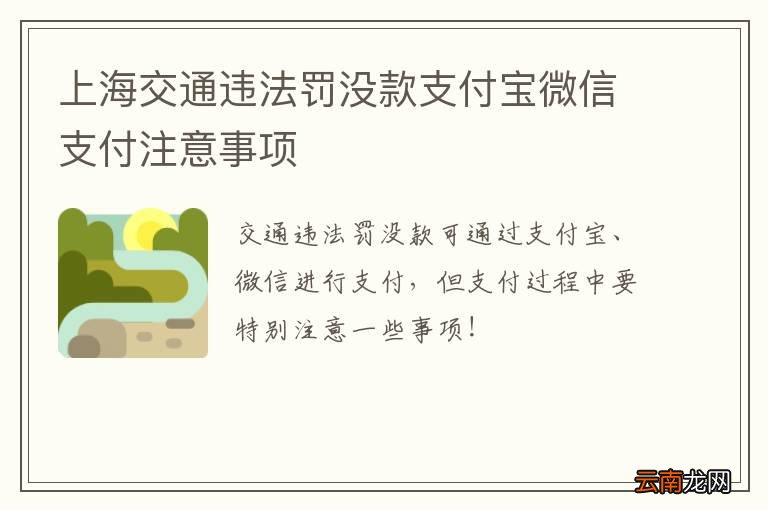上海交通违法罚没款支付宝微信支付注意事项