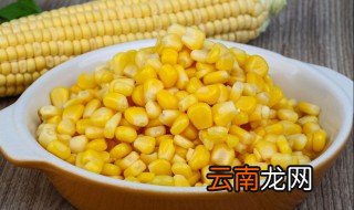 嫩玉米钓鱼泡制方法 钓鱼嫩玉米怎么泡制