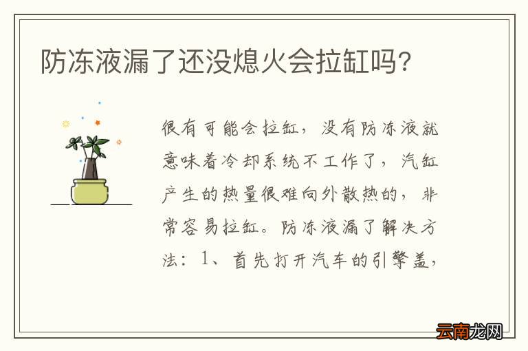 防冻液漏了还没熄火会拉缸吗?