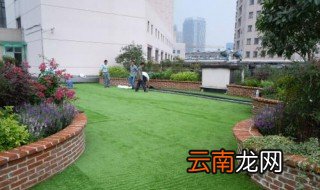 如何申请楼顶绿化 屋顶绿化申请书