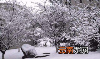 下雪早晨问候语 亲戚朋友都适用