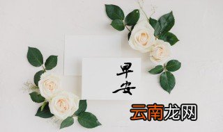 早安英语怎么写 英文早安句子正能量大全