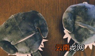 鲎怎么读 鲎是什么意思
