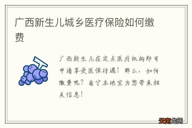 广西新生儿城乡医疗保险如何缴费