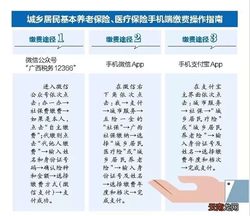 广西新生儿城乡医保缴费方式