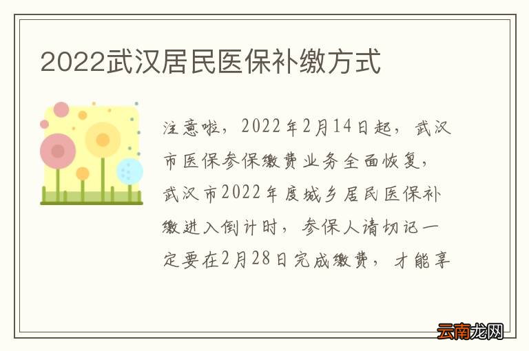2022武汉居民医保补缴方式