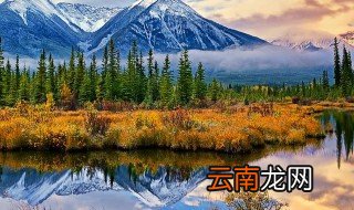 高山水龙作用 你知道吗