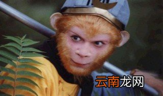 描写孙悟空外貌的句子 描写孙悟空外貌的好句