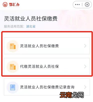 鄂汇办怎么交灵活就业人员社保？附缴费流程图解