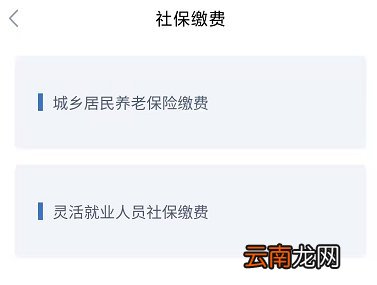 鄂汇办怎么交灵活就业人员社保？附缴费流程图解