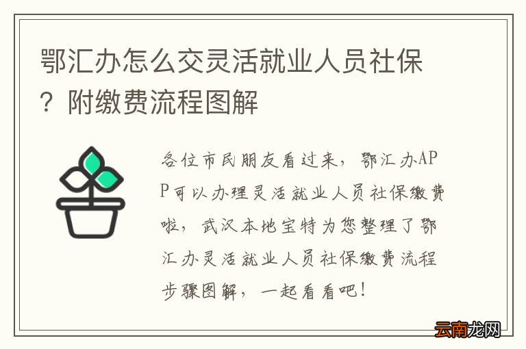 鄂汇办怎么交灵活就业人员社保？附缴费流程图解