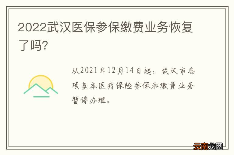2022武汉医保参保缴费业务恢复了吗？