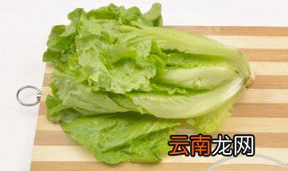 生吃生菜的好处和坏处 哪些人不能生吃生菜