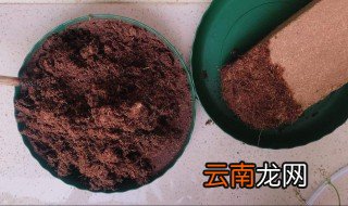 盆土板结小窍门 有哪些小窍门