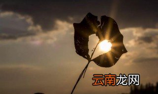 描写的句子 心理描写的句子有哪些