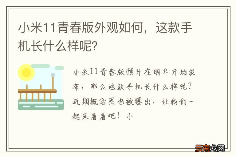 小米11青春版外观如何，这款手机长什么样呢？