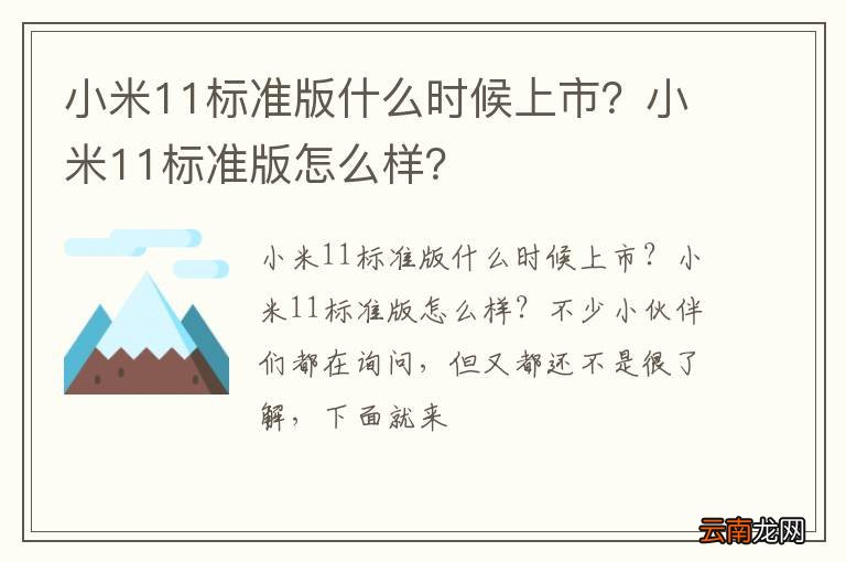 小米11标准版什么时候上市？小米11标准版怎么样？