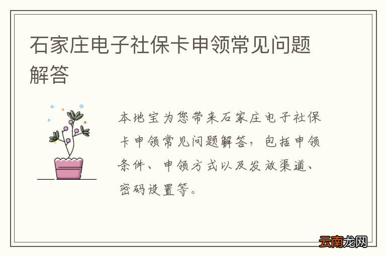石家庄电子社保卡申领常见问题解答