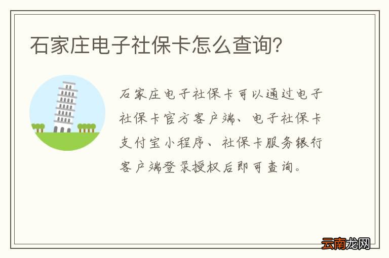 石家庄电子社保卡怎么查询?