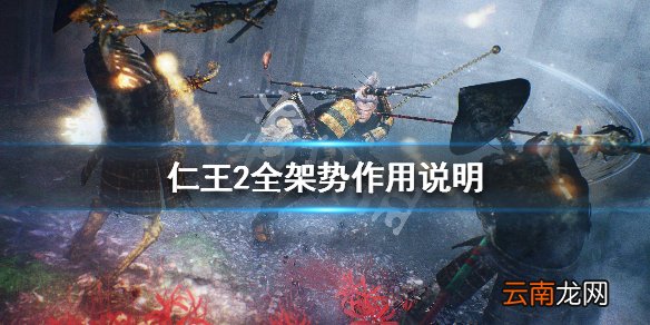 仁王2架势玩法技巧详解 仁王2全架势作用说明